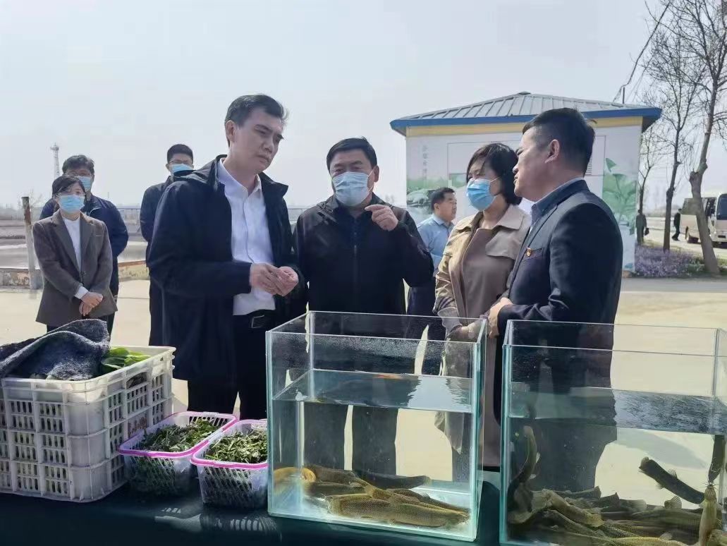 乐陵市委书记王晓勇一行莅临天津3499手机版拉斯维加斯,3499拉斯维加斯集团旗下清洋湖公司参观考察