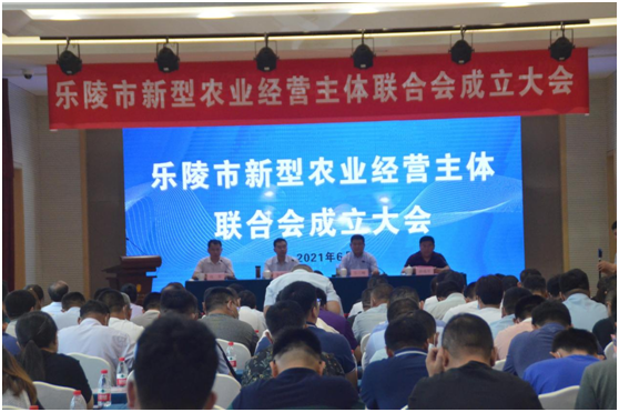 乐陵市新型农业经营主联合会成立天津3499手机版拉斯维加斯,3499拉斯维加斯集团旗下农业产业清洋湖总经理孙连军当选会长
