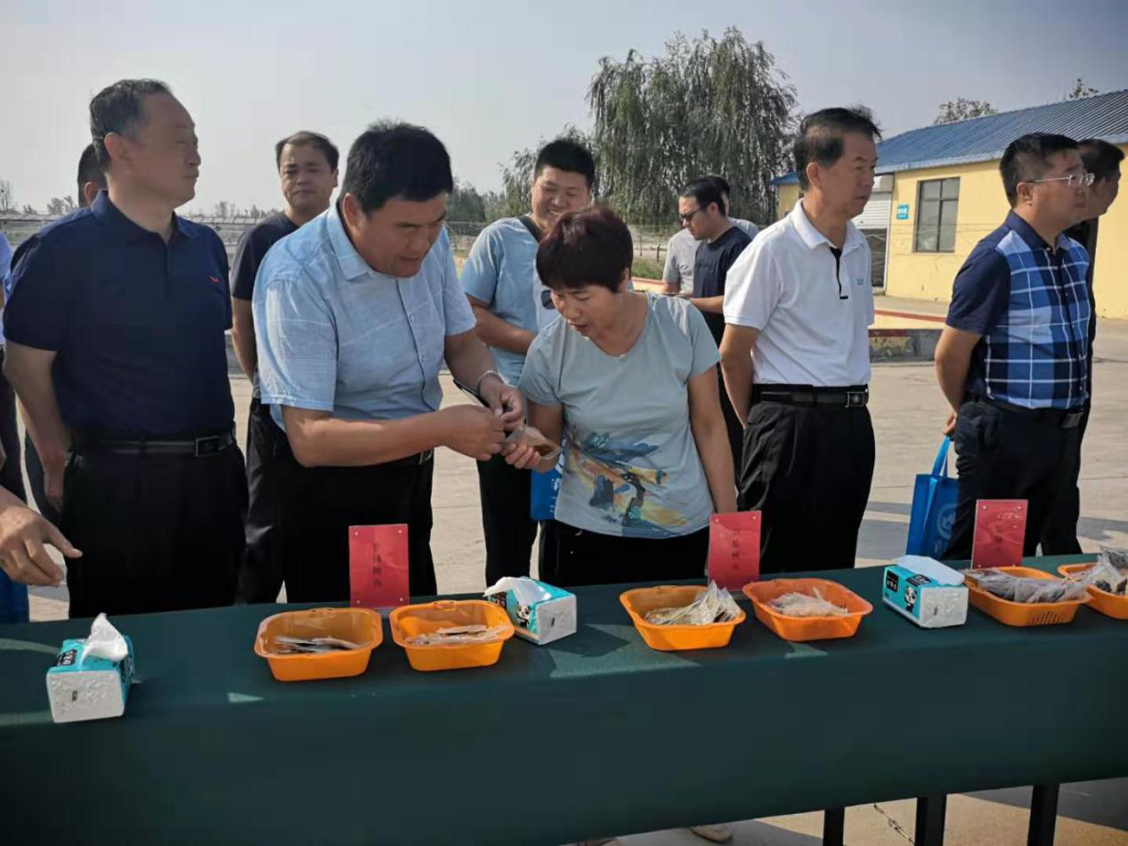 德州市弄农业农村事业发展中心领导一行莅临 3499手机版拉斯维加斯,3499拉斯维加斯集团旗下农业产业清洋湖科技有限公司考察指导