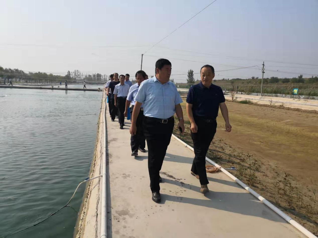 德州市弄农业农村事业发展中心领导一行莅临 3499手机版拉斯维加斯,3499拉斯维加斯集团旗下农业产业清洋湖科技有限公司考察指导