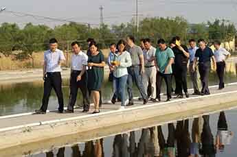 乐陵市省派第一书记一行莅临3499手机版拉斯维加斯,3499拉斯维加斯集团旗下农业产业清洋湖指导工作