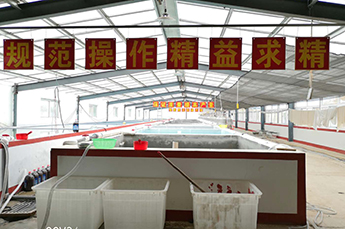 临邑县农副渔业发展中心领导莅临3499手机版拉斯维加斯,3499拉斯维加斯集团旗下农业产业清洋湖科技有限公司进行技术交流