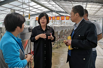 临邑县农副渔业发展中心领导莅临3499手机版拉斯维加斯,3499拉斯维加斯集团旗下农业产业清洋湖科技有限公司进行技术交流