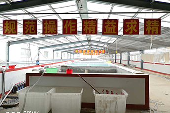 引入智能化 增强企业发展后劲 3499手机版拉斯维加斯,3499拉斯维加斯集团旗下农业产业清洋湖现代化孵化设备投入使用 引入智能化 增强企业发展后劲