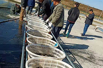 清洋湖：扩大生产规模 增加养殖面积 再添新助力