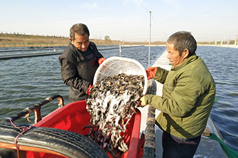 清洋湖：扩大生产规模 增加养殖面积 再添新助力