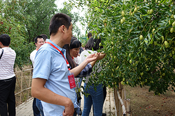 第29届中国（乐陵）金丝小枣文化节 暨第五届百枣纲目（集团）新品发布会第一场活动圆满结束 百枣纲目（集团）大型经销商、采购商主场
