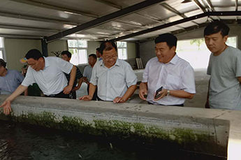 山东省淡水研究院疾病防控室秦玉广主任、生态病理研究室 杜兴华主仼莅临清洋湖指导工作
