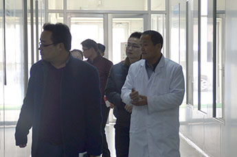乐陵市科技局杨局长一行莅临3499手机版拉斯维加斯,3499拉斯维加斯集团 旗下农业产业百枣纲目（集团）参观调研
