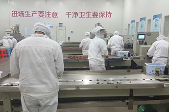 3499手机版拉斯维加斯,3499拉斯维加斯集团旗下企业山东百枣纲目生物科技与辖区骨干企业开展红枣产业座谈会