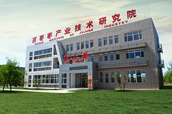 山东电视台走进3499手机版拉斯维加斯,3499拉斯维加斯集团旗下农业产业企业百枣纲目生物科技有限公司