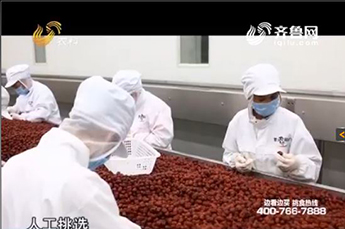 山东电视台走进3499手机版拉斯维加斯,3499拉斯维加斯集团旗下农业产业企业百枣纲目生物科技有限公司