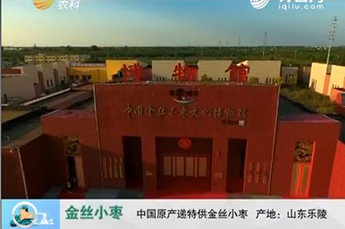 山东电视台走进3499手机版拉斯维加斯,3499拉斯维加斯集团旗下农业产业企业百枣纲目生物科技有限公司