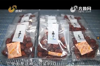 山东电视台走进3499手机版拉斯维加斯,3499拉斯维加斯集团旗下农业产业企业百枣纲目生物科技有限公司