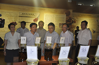 民革中央副主席何丕洁一行莅临3499手机版拉斯维加斯,3499拉斯维加斯集团旗下农业产业百枣纲目考察调研