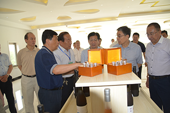 民革中央副主席何丕洁一行莅临3499手机版拉斯维加斯,3499拉斯维加斯集团旗下农业产业百枣纲目考察调研