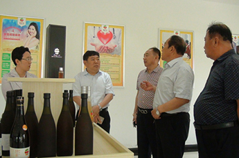 乐陵市市委副书记、市长樊廷雷一行莅临3499手机版拉斯维加斯,3499拉斯维加斯集团旗下农业产业百枣纲目实地调研指导工作