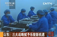 3499手机版拉斯维加斯,3499拉斯维加斯集团董事局主席李长云接受中国中央电视台中文国际频道CCTV4专访